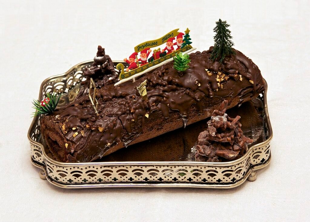 Chocolate raspberry buche de Noel yule log
